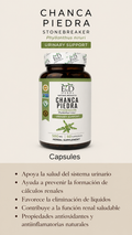 Chanca Piedra 500mg
