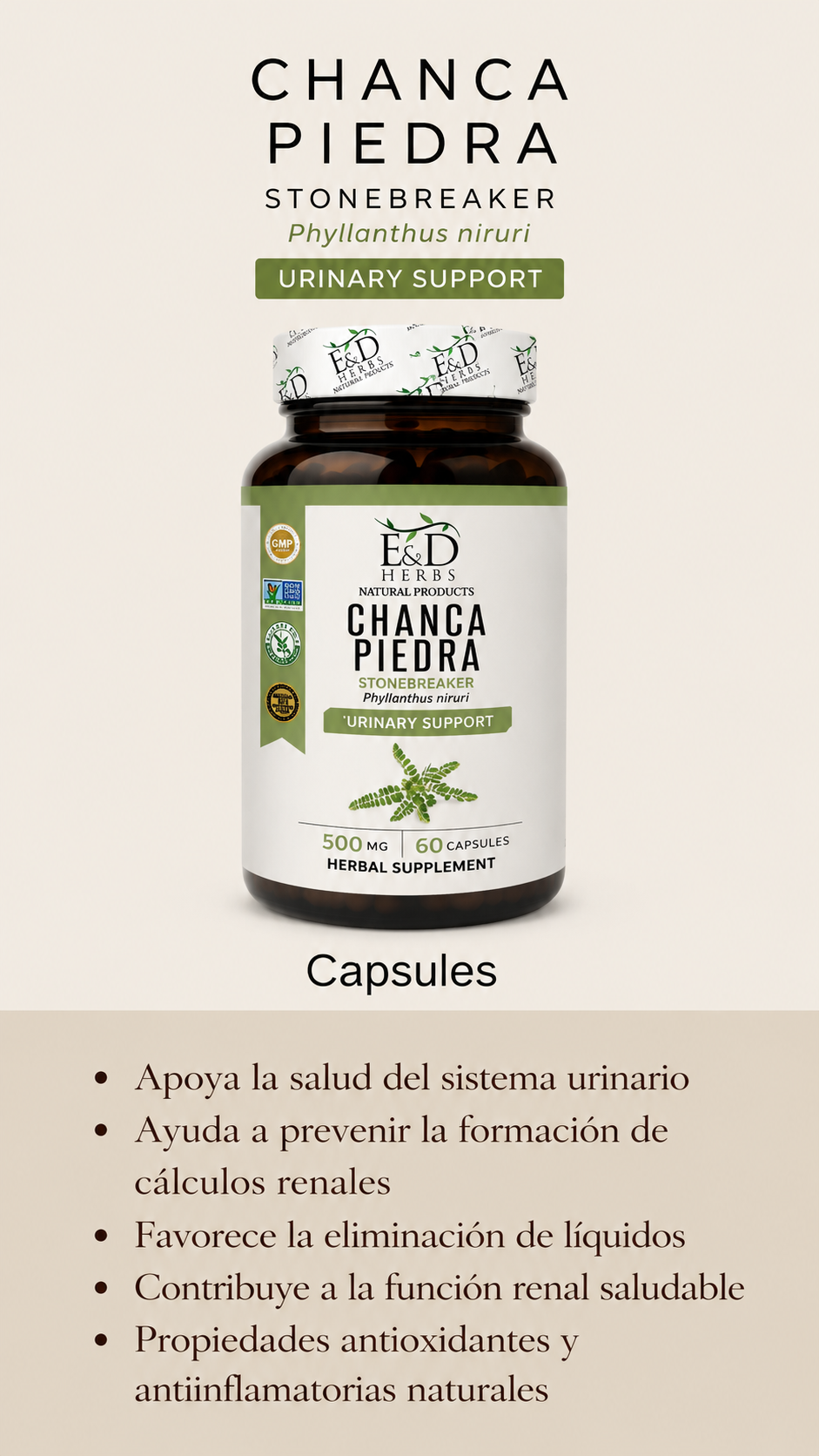 Chanca Piedra 500mg